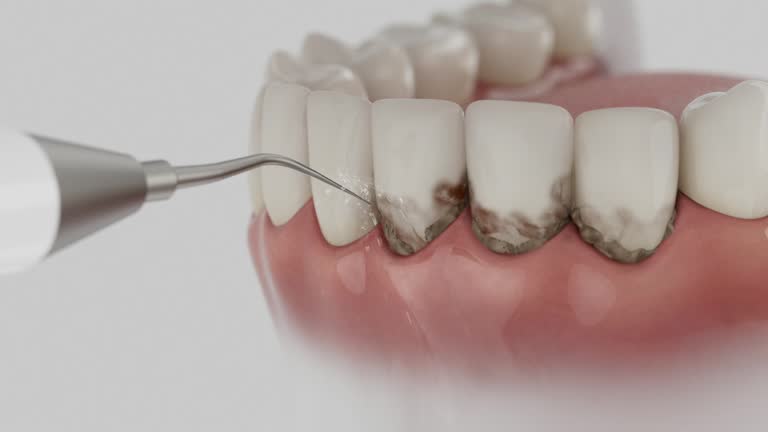 Reliable Dental contractor in Merrimac, VA by Dentist Open Now